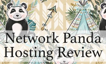 Erfahrungsbericht: Network Panda Webhosting
